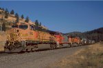 BNSF 5389 Montana Action